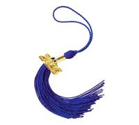 ZEPFJHE Glands de chapeau de de diplôme 2025 pour les célébrations académiques, décorations pratiques de fête de de diplôme en polyester pour la décoration de chapeau de doctorat d ' étudiant
