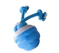 ZEPFJHE Jouet en corde de meulage pour chien avec activation par le mouvement - Rechargeable par USB - Balle électrique pour chiots et ennui - Jouet activé par le son