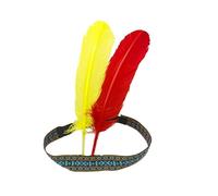 ZEPFJHE Le Groupe De Cheveux À Plumes Élégants Pour Femmes Améliore Toute Tenue Idéale Pour Les Fêtes À Thème Et Les Accessoires De Photographie Confortables