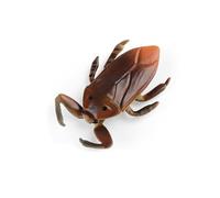 ZEPFJHE Modèle d ' Insecte simulé pour, éducation des Sciences cognitives Solides, moustiques, d ' Halloween, Jouet Amusant, modèle d ' Insecte, Nouvelle Collection