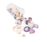 ZEPFJHE Natural Sea Sequares Craft Set Occuthels Projets De Coquillages Coquillages pour Décors De Bijoux Et Créations Artistiques Portable Crafting Set