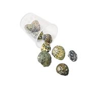 ZEPFJHE Natural Sea Sequares Craft Set Occuthels Projets De Coquillages Coquillages pour Décors De Bijoux Et Créations Artistiques Portable Crafting Set