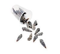 ZEPFJHE Natural Sea Sequares Craft Set Occuthels Projets De Coquillages Coquillages pour Décors De Bijoux Et Créations Artistiques Portable Crafting Set