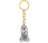ZEPFJHE Pet Memorial Keychain Dog Hair Box pour La Préservation Ou Crémation Cendres dans Durabilité Design De Couverture De Trousse