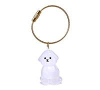 ZEPFJHE Porte-clés commémoratif pour animaux de compagnie pour conserver les poils de chien ou les cendres de crémation dans une boîte durable