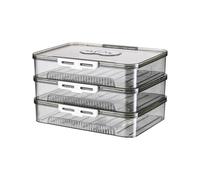 ZEPFJHE Support de raviolis à plusieurs couches avec minuteur de date, boîte de rangement transparente pour cuisine, accessoire pour Wontons et plus encore. Passe au réfrigérateur et au congélateur