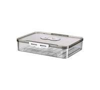 ZEPFJHE Support de raviolis à plusieurs couches avec minuteur de date, boîte de rangement transparente pour cuisine, accessoire pour Wontons et plus encore. Passe au réfrigérateur et au congélateur