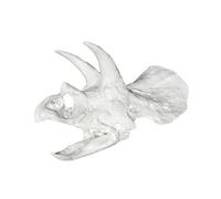 ZEPFJHE Tête de dinosaure Marinepark pour animaux marins à base de maïs naturel/PETG non mortel ajout d'habitat publié crâne grotte marine abri décoration