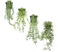 Zequech 4 Potiche de Plantes Verts Simulées, Datura, Eucalyptus, Pois en Germe et Senecio rowleyanus. Potiche Suspendus, Adaptables aux Intérieurs, Extérieurs, Bureaux, Mariages et Paysages