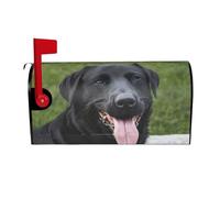 ZERAOKE Papier peint Rottweiler - Couverture magnétique de boîte aux lettres personnalisée - Grande taille - 64,8 x 53,3 cm - Pour décoration de jardin, cour, extérieur, maison