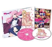 Zero No Tsukaima F Vol.1 [Import allemand]