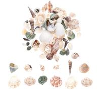 Zerodeko 1 Boîte Boîte de Coquillages Naturels et Conques pour Décoration Créative, Ornement D'aménagement Paysager pour Aquarium, Toucher Confortable, Style Unique et Multi-Fonction