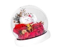 Zerodeko 1Pièce Parure De Fleurs Immortelles Chat Décoratif Verre De Noël Roses Préservées pour Anniversaires Et Mariages Boîte