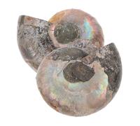 Zerodeko 2 pièces Pendentif Fossile Conque Naturelle Spécimen Minéral Ammonite Décoratif Tranche de Coquille Ammolite Unique Bijou Naturel pour Collection et Usage Éducatif