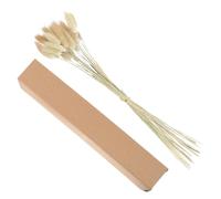 Zerodeko 30 Pièces D’Herbe Séchée Queue de Lapin Naturelle Décoration Végétale DIY Ornement Maison et Mariage Décoration de Fleur Solide Boîte Présent