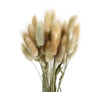 Zerodeko Bouquet de Fleurs Séchées Queue de Lapin Naturel 50 Pièces, Décoration Intérieure Champêtre, Herbe Séchée Ornementale pour Salon et Maison