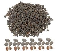 Zerodeko Galets Miniatures Décoratifs Naturels en Roche pour Jardin et Aquarium, Apparence Réaliste, Poids 50g, pour Décoration de Table de Sable et Mini Paysage