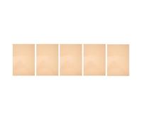 Zerodeko Gels de Couleur 5 Feuilles en Film PVC Filtre Diffuseur pour Éclairage de Projets Artistiques et Cours de Photographie