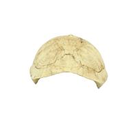 Zerodeko Grotte de Repos Étanche et Facile à Utiliser pour Reptiles en Résine de Carapace de Tortue pour Habitat Terrestre à Domicile Bureau