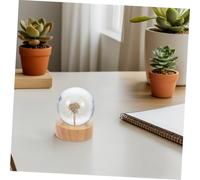 Zerodeko Lampe Veilleuse Boule Cristal Gravure Pissenlit avec Base Éclairage Doux pour Chambre et Cadeau Anniversaire