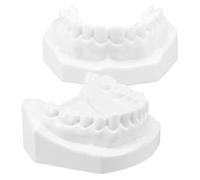 Zerodeko Modèle Standard pour Enseignement et Formation des Dents