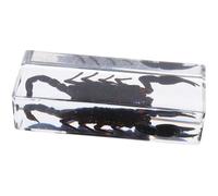 Zerodeko Spécimen Insecte Scorpion Résine Acrylique Transparente Presse-papiers de Bureau Décoratif et Pédagogique pour Collection