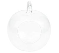 Zerodeko Vase en Verre Forme Pomme 4.72X3.94X3.94In Station de Multiplication des Plantes pour Décoration Intérieure et Espace de Travail