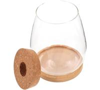Zerodeko Vase Hydroponique Présent avec Support en Bambou en Verre Bocal de Propagation Style Naturel pour Plantes et Fleurs, Décoration de Pièce