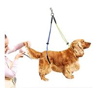 Zerodis Fournitures de Toilettage de Nettoyage pour Chien Harnais Réglable en Boucle avec Coussin Laisse de Toilettage pour Animaux de Compagnie pour Une Expérience de Confortable Retenue de pour