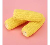 Zerodis Masques en Latex pour Nettoyer Les Dents Plôles de Dents pour L'entraînement Interactif, 3 Pièces pour Chiens