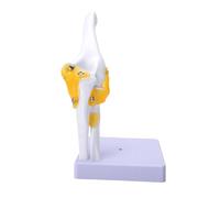 Zerodis Modèle D'articulation du Coude, Anatomie Plastique des Ligaments | Aide Pédagogique sur le Squelette, Structures Osseuses Mobiles, Rayon de L'humérus et de L'ulna, Support Amovible, étude