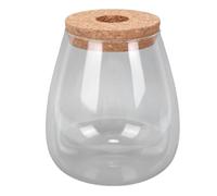 Zerodis Terrarium en Verre avec Bouchon en Liège, Vase de Propagation | Clarté élevée du borosilicate pour la des racines, étanchéité protectrice du microclimat, accès aux plantes à large