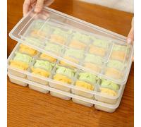 Zeroupshop Boîte de rangement pour raviolis avec 30 treillis, récipient en polypropylène passant au micro-ondes pour l'organisation de la cuisine et du réfrigérateur, support alimentaire peu