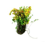 zeroupshop Kit Fleurs et Arbustes DIY Maquette 3.5cm Réaliste(Golden) | RÃ©alisme accru, couleurs vives, pour idÃ©al trains rÃ©duits, maisons de , dioramas historiques