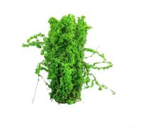zeroupshop Kit Fleurs et Arbustes DIY Maquette 3.5cm Réaliste(Green) | RÃ©alisme accru, couleurs vives, pour idÃ©al trains rÃ©duits, maisons de , dioramas historiques