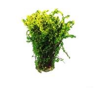 zeroupshop Kit Fleurs et Arbustes DIY Maquette 3.5cm Réaliste(Yellow) | RÃ©alisme accru, couleurs vives, pour idÃ©al trains rÃ©duits, maisons de , dioramas historiques