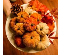 zeryor Lot de 12 mini citrouilles en velours synthétique pour décoration de citrouille d'automne, décoration de table, décoration de fête d'automne (12 pièces)