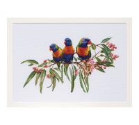 Zestaw do haftu krzyżykowego Thea Gouverneur "Lorikeets Aida", 52x36cm