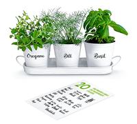 ZESTIGREENS Lot de Pots à Herbes aromatiques avec Plateau pour Utilisation en intérieur ou en extérieur, Pots de Fleurs succulentes en métal Blanc pour Rebord de fenêtre de Cuisine