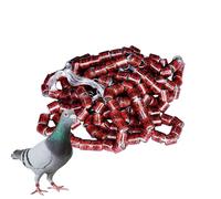 Zestivra Lot de 50 anneaux de colombe pour oiseaux 2025 - Accessoires sûrs pour nichoir à oiseaux - Accessoires de mangeoire à oiseaux - Accessoires pegeon faciles à distinguer