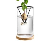 Zestivra Sprouting Vase d'avocat - Base en Bois - Support hydroponique pour - Support hydroponique pour la Culture d'avocat - Propagation décorative pour Table ou décoration de Jardin