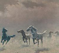 Niels Frevert Zettel auf dem Boden (Vinyl)