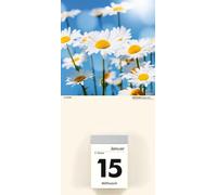 ZETTLER 609774 Dos de calendrier Fleurs - 14,5 x 29,5 cm, 2 fois assorti