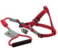 Zeus 99372 Harnais et Sangle pour Chien Arista Round s, Rouge