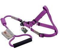 Zeus 99380 Harnais et Sangle pour Chien Arista Round M, Violet
