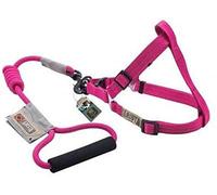 Zeus 99395 Harnais et Sangle pour Chien Arista Round L, Rose