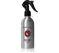 Zew For Men Sea Salt Thomas Henry Spicy Ginger spray salé cheveux pour homme 240 ml