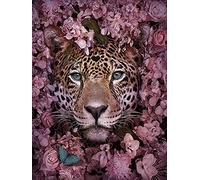 Zeyevan DIY Diamond Painting Complet Fleur léopard, 5D Broderie Diamant Painting Kit Complet papillon Point Point De Croix Strass Broderie Craft Pour Home Office Décoration Murale 30x40cm