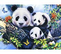 Zeyevan DIY Diamond Painting Complet Panda, 5D Broderie Diamant Painting Kit Complet Point Point De Croix Strass Broderie Craft Pour Home Office Décoration Murale 30x40cm E03