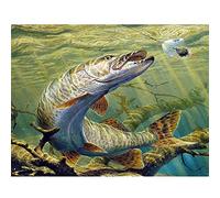 Zeyevan DIY Diamond Painting Complet Pêche, 5D Broderie Diamant Painting Kit Complet Animal Point Point De Croix Strass Broderie Craft Pour Home Décoration Murale 30x40 cm